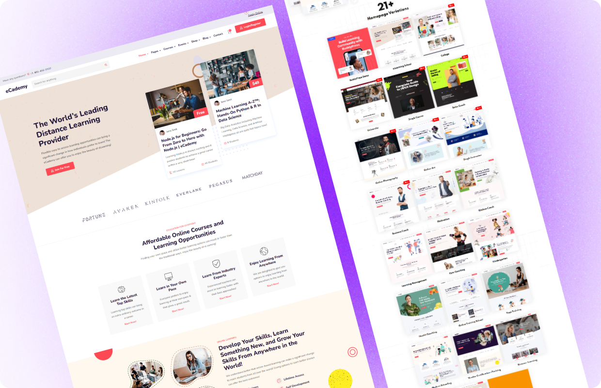 portfolio